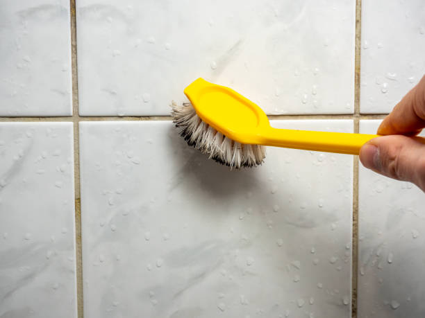 Kirtland Af, NM Mold Removal Company