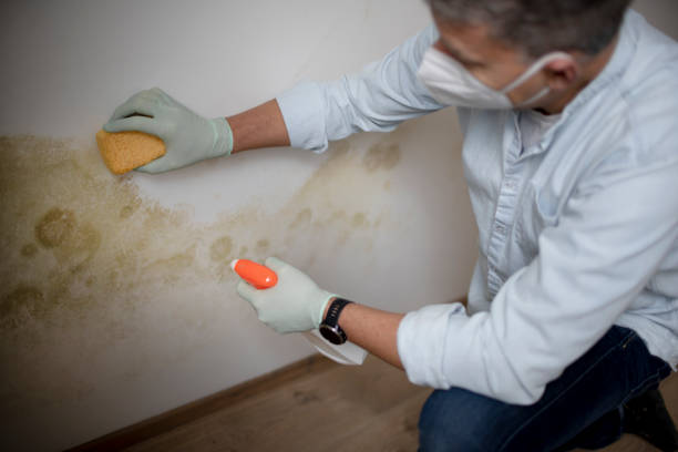 Best Crawl Space Mold Removal  in Kirtland Af, NM